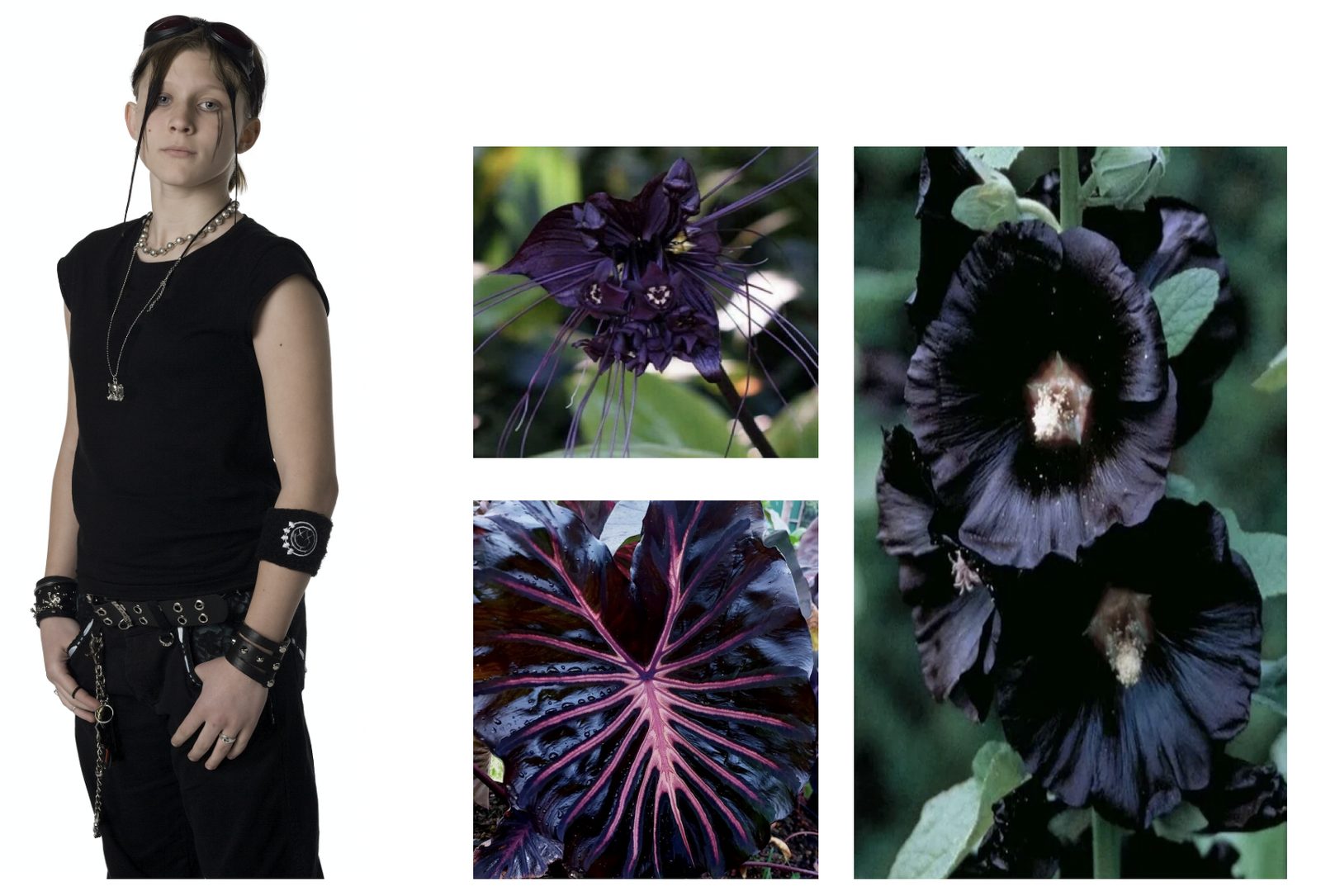 How\ Does\ Your\ Goth\ Garden\ Grow\ -\ story\ illustration