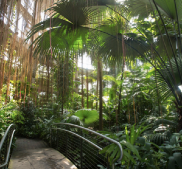 Colorful seasonal plantings and glass conservatory at the Atlanta Botanical Gardens