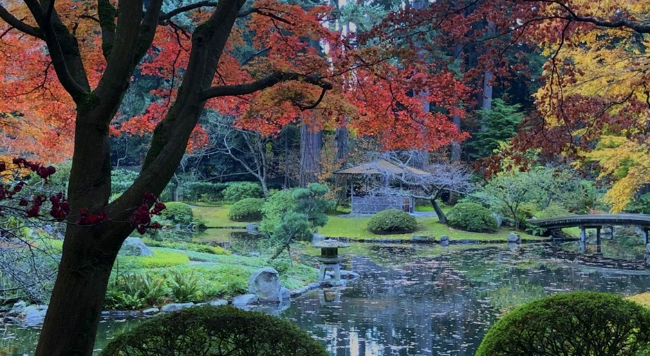 Peaceful Japanese garden with stone lantern and manicured pines at Nitobe Memorial Garden, UBC