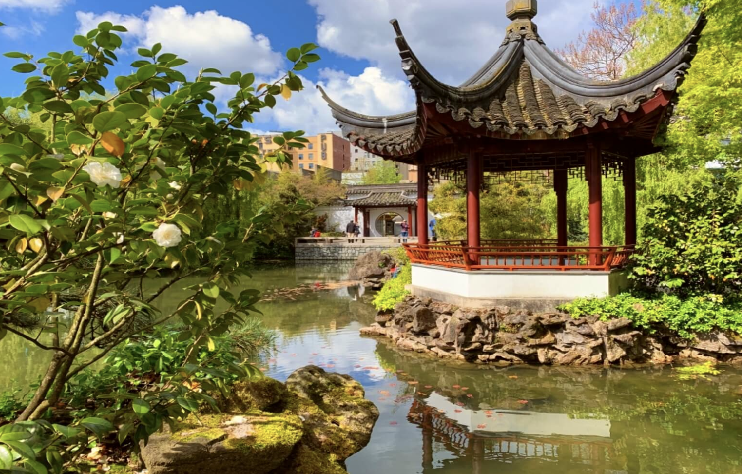 Ornate pavilion and koi pond at the Dr. Sun Yat-Sen Classical Chinese Garden in Vancouver's Chinatown