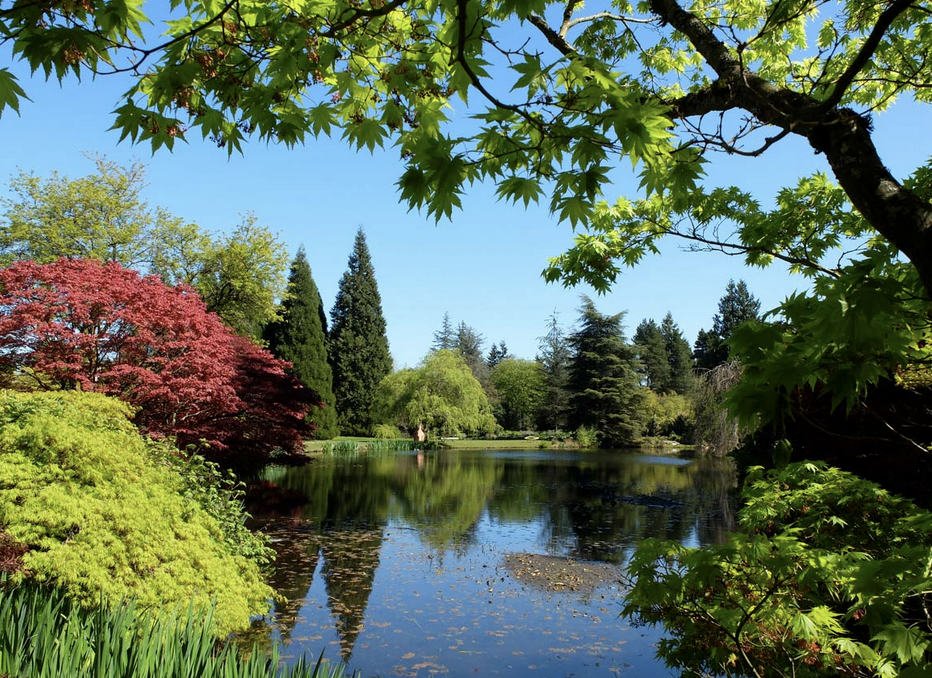 Lush botanical garden paths lined with specimen trees at Van Dusen Gardens, Vancouver