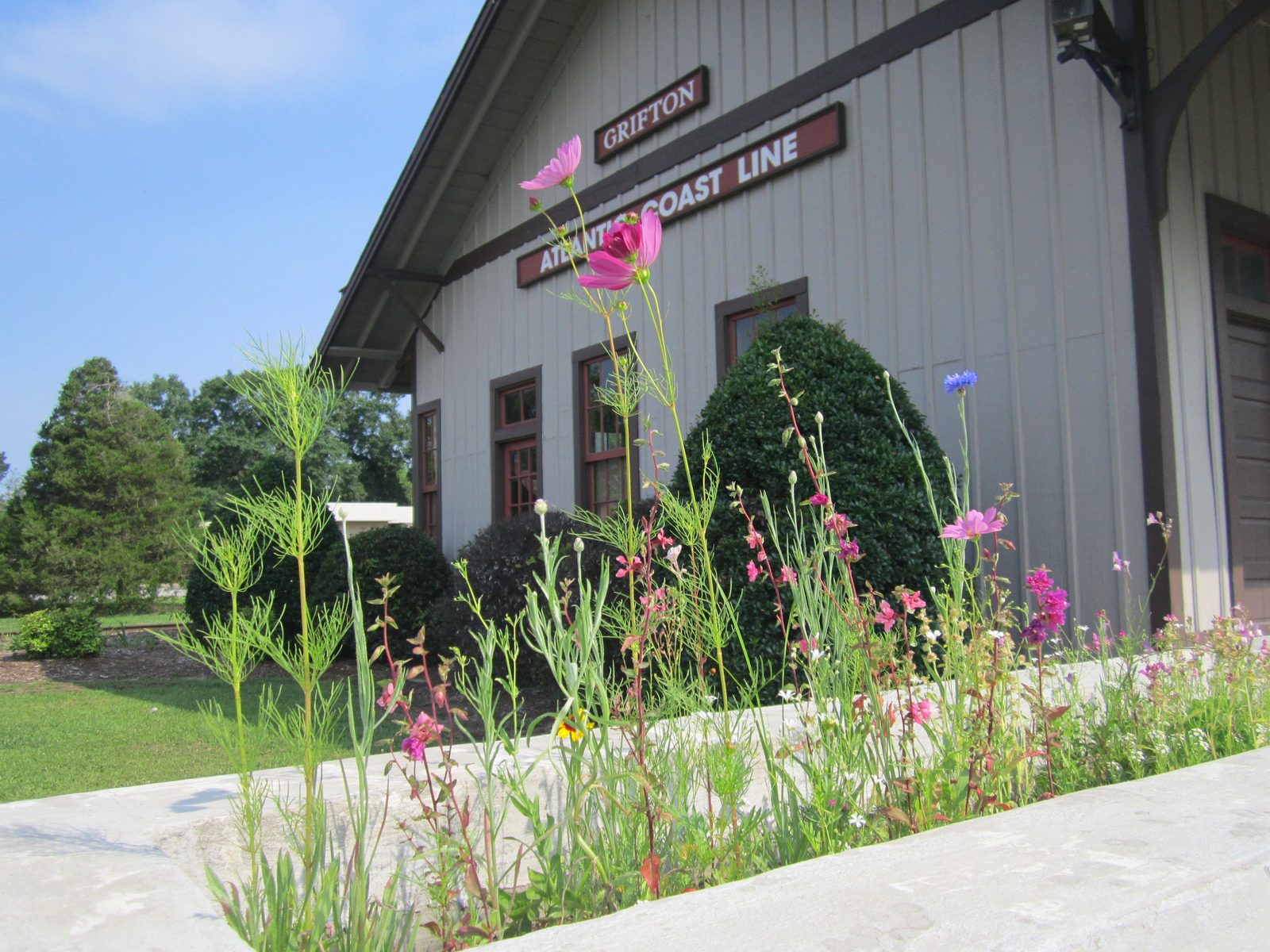 Grifton train depot with flowers in the foreground